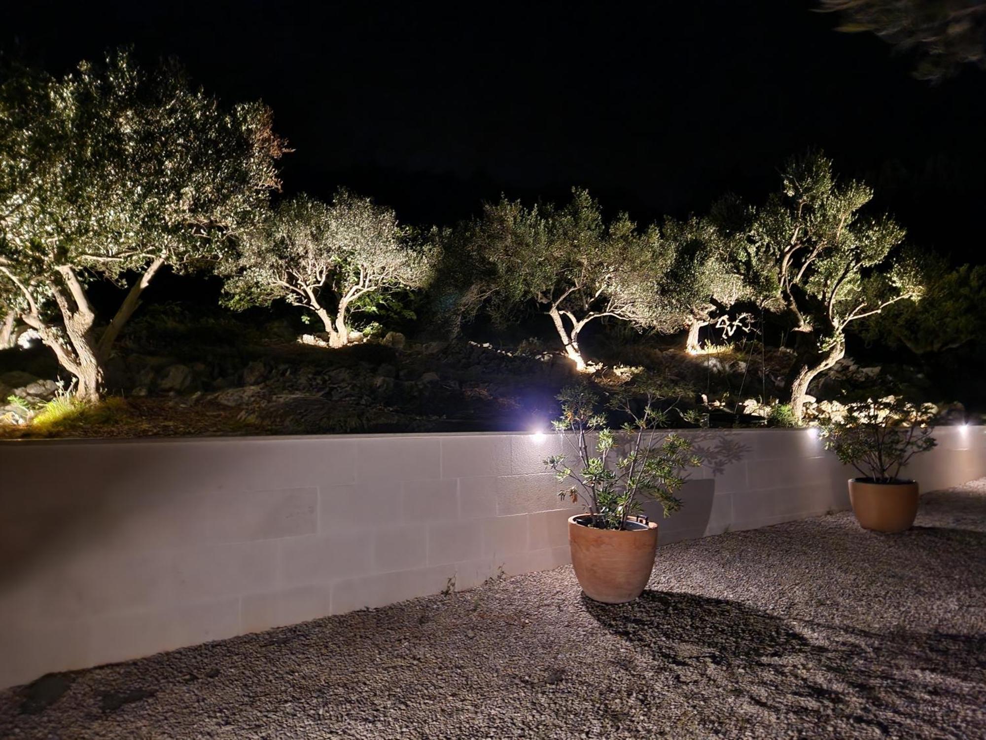 Villa Olivetum Marina Zewnętrze zdjęcie